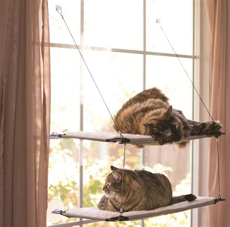 No Drill Cat Shelf in 2022